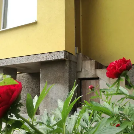 за гости 