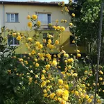 за гости 