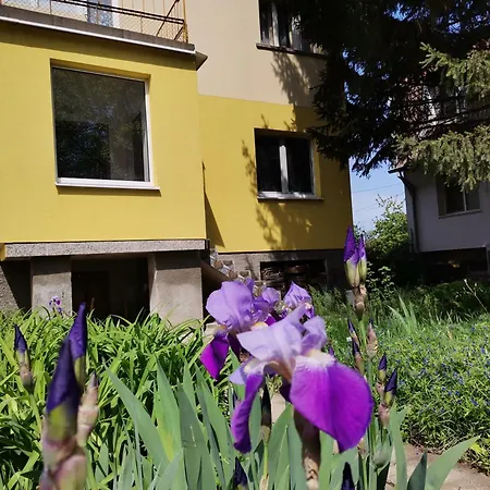 за гости 