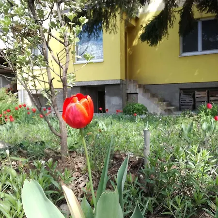 за гости дом градина вита / Guest “house Vita Garden” * София