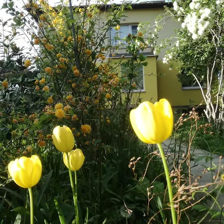 Alloggio in famiglia за гости 