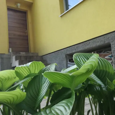 Privat bolig за гости 