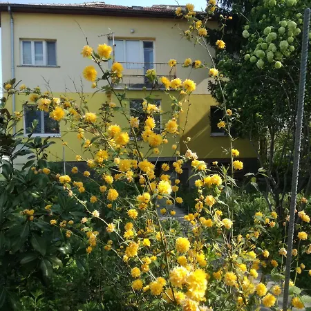за гости 