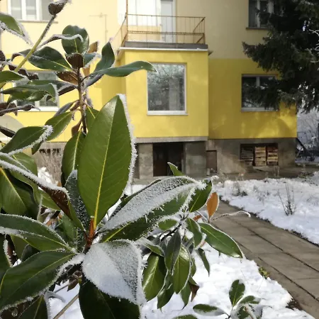 за гости 