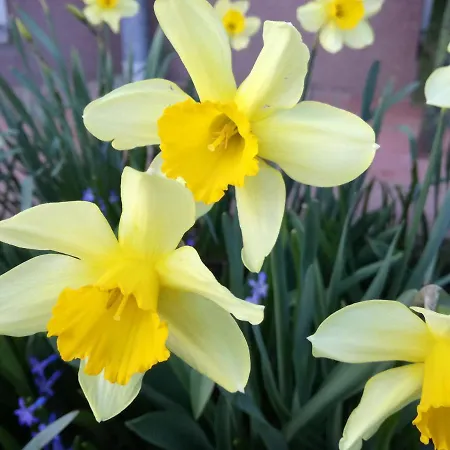 Privat bolig за гости 