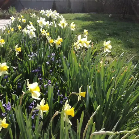 Alloggio in famiglia за гости 