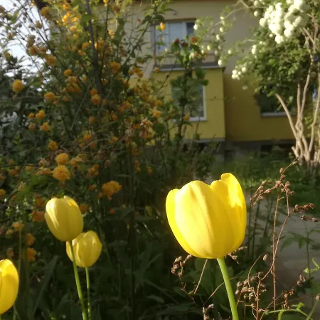 Частна квартира за гости дом градина вита / Guest “house Vita Garden” *